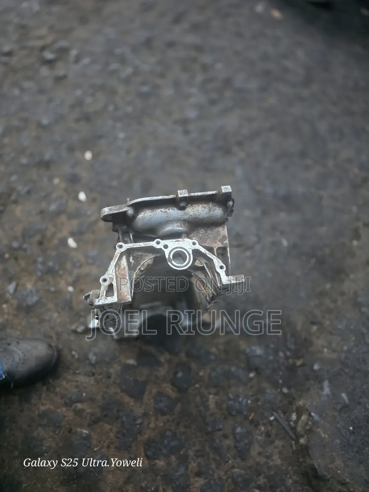 1nz Oilsamp Axio Newmodel/Fielder /Auris