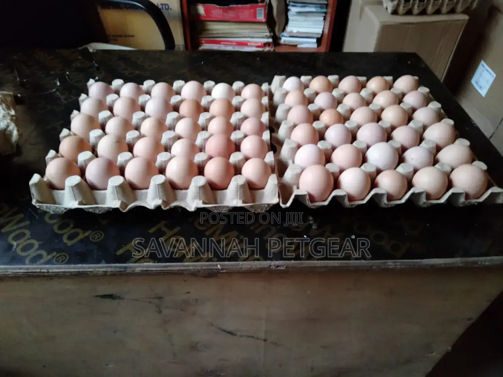 Fertilized Kari Improved Kienyeji Eggs