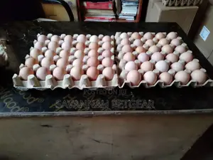 Fertilized Kari Improved Kienyeji Eggs