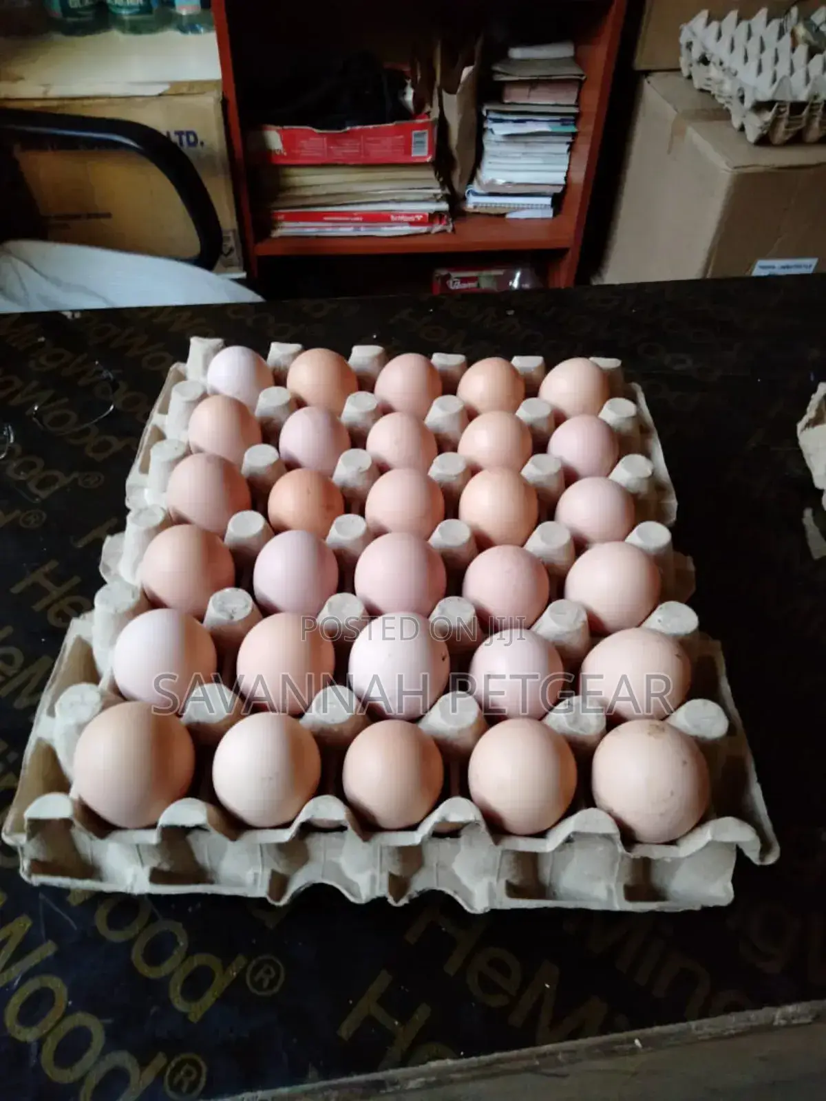 Fertilized Kari Improved Kienyeji Eggs