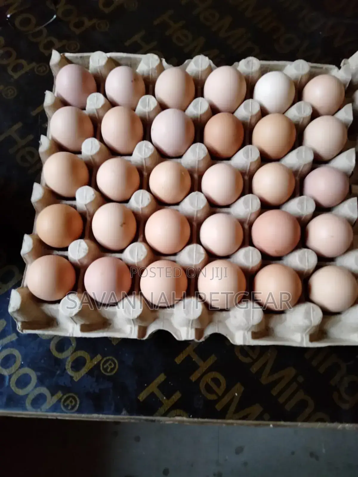 Fertilized Kari Improved Kienyeji Eggs