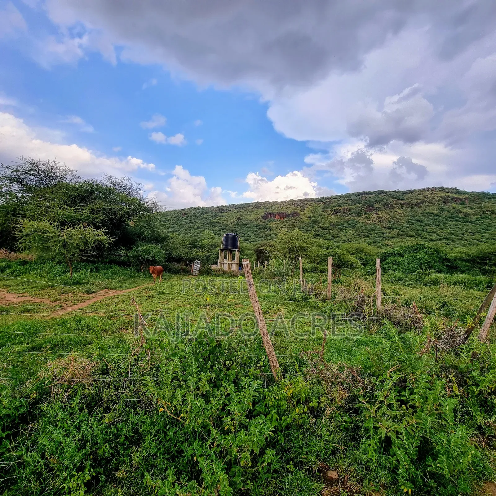 Prime 20 Acres Nendurogo, Saikeri at Per Acre