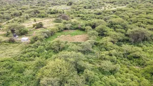 Prime 20 Acres Nendurogo, Saikeri at Per Acre