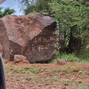 Prime 20 Acres Nendurogo, Saikeri at Per Acre