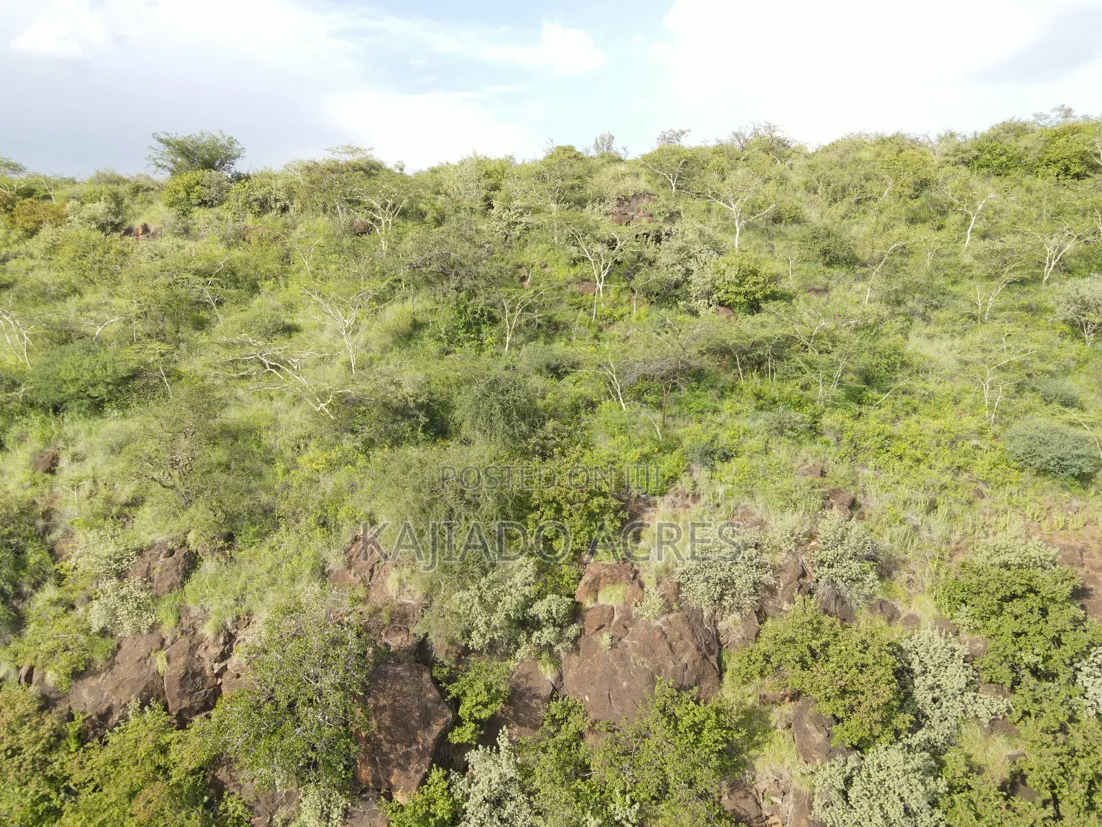 Prime 20 Acres Nendurogo, Saikeri at Per Acre