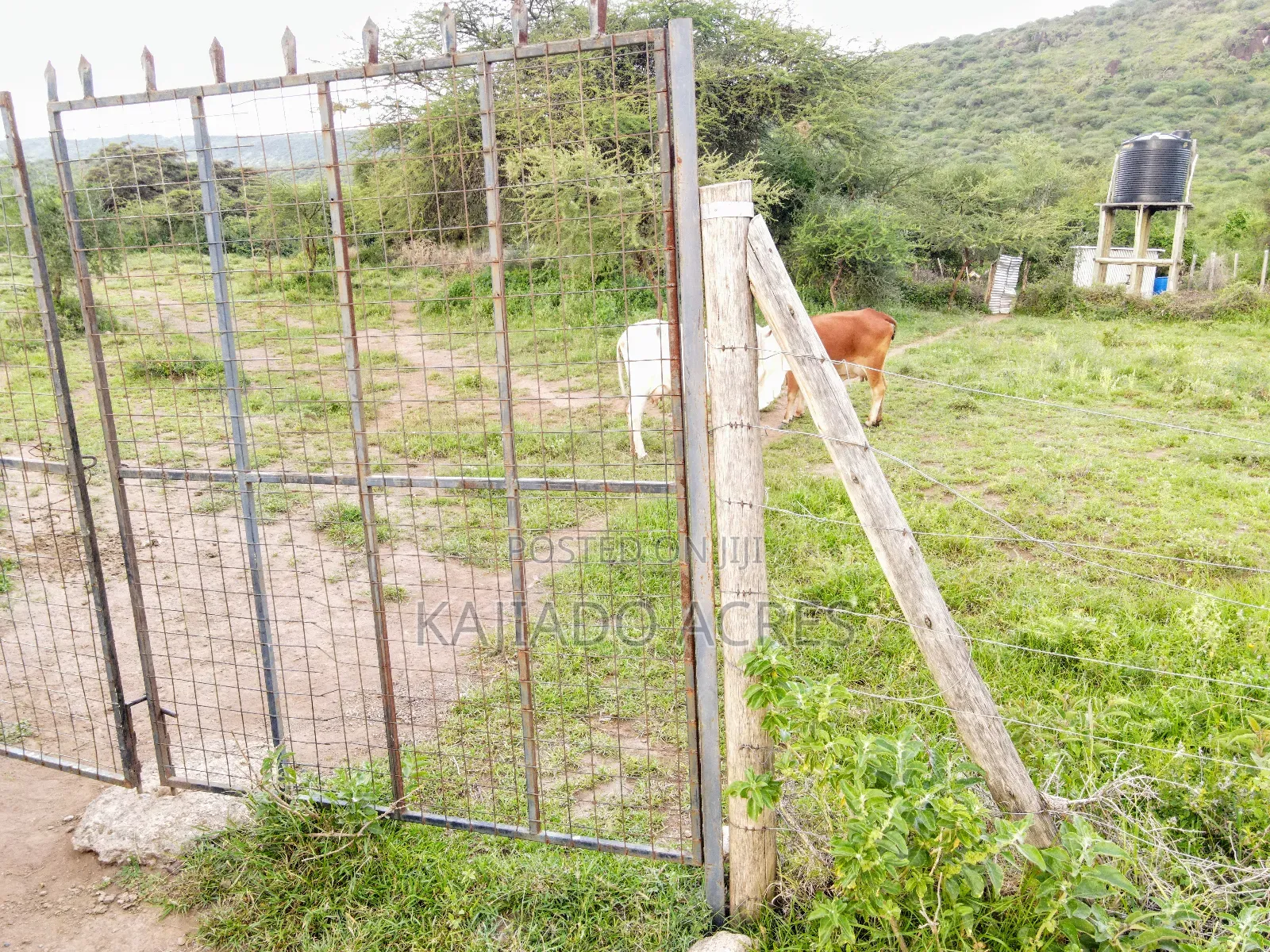 Prime 20 Acres Nendurogo, Saikeri at Per Acre
