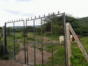 Prime 20 Acres Nendurogo, Saikeri at Per Acre
