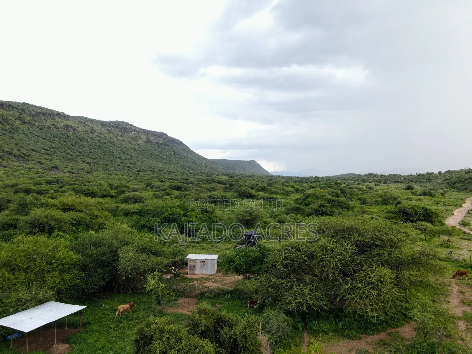 Prime 20 Acres Nendurogo, Saikeri at Per Acre