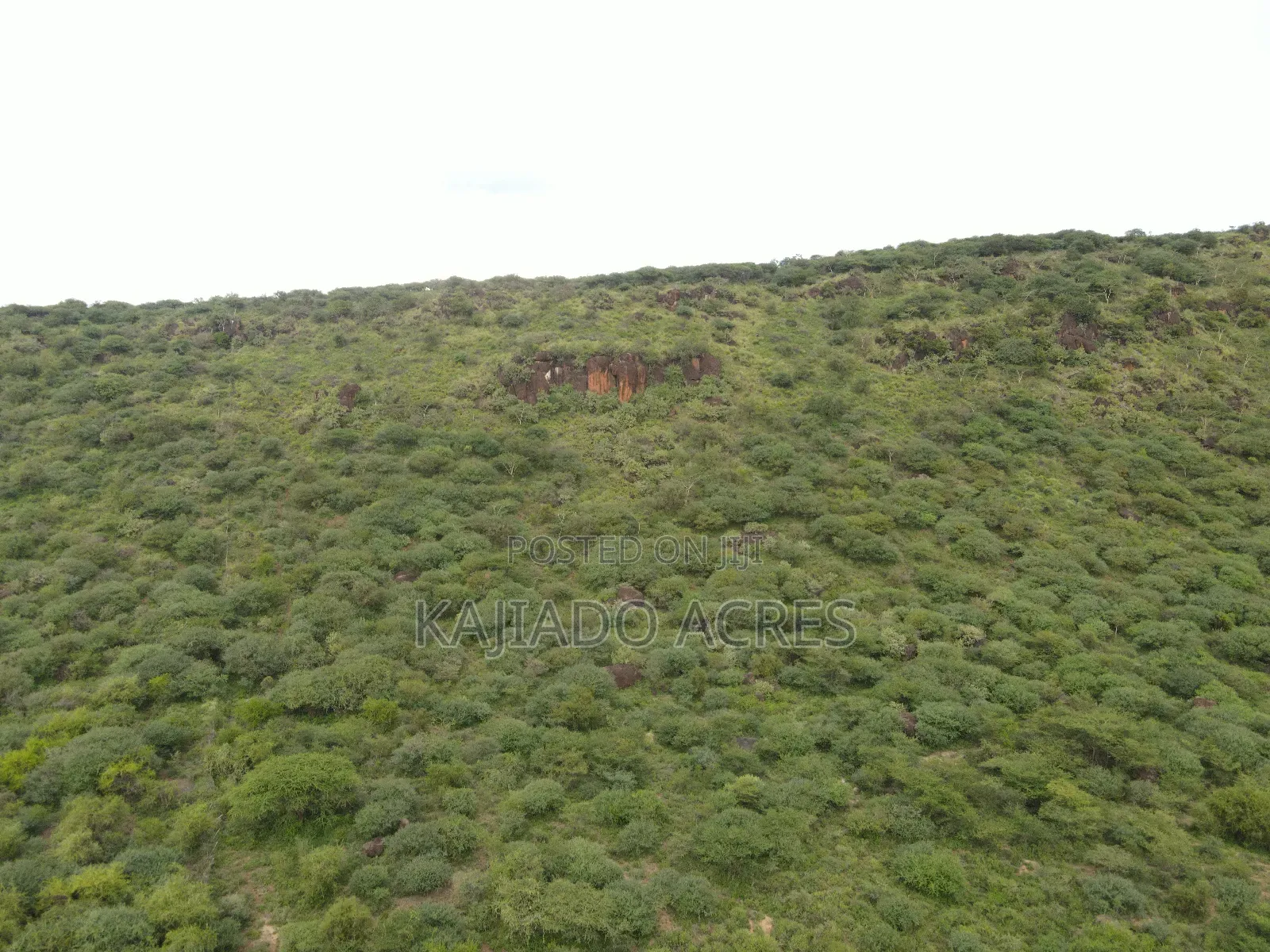 Prime 20 Acres Nendurogo, Saikeri at Per Acre