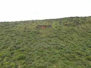 Prime 20 Acres Nendurogo, Saikeri at Per Acre