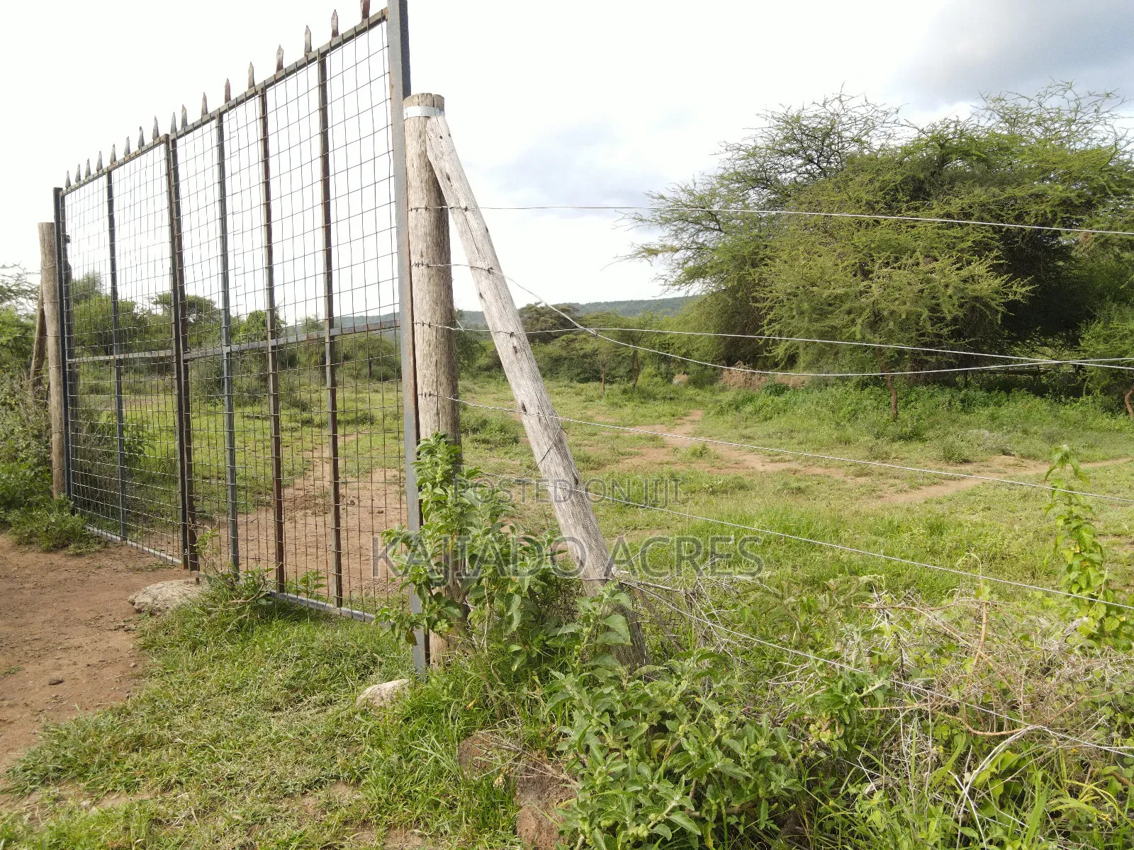 Prime 20 Acres Nendurogo, Saikeri at Per Acre
