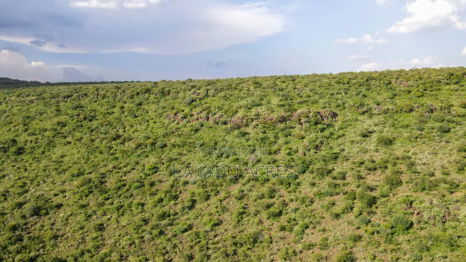 107 Acres Olmeroi ,Saikeri