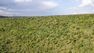 107 Acres Olmeroi ,Saikeri