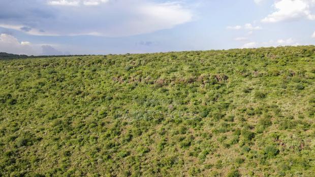 107 Acres Olmeroi ,Saikeri - thumbnail 3