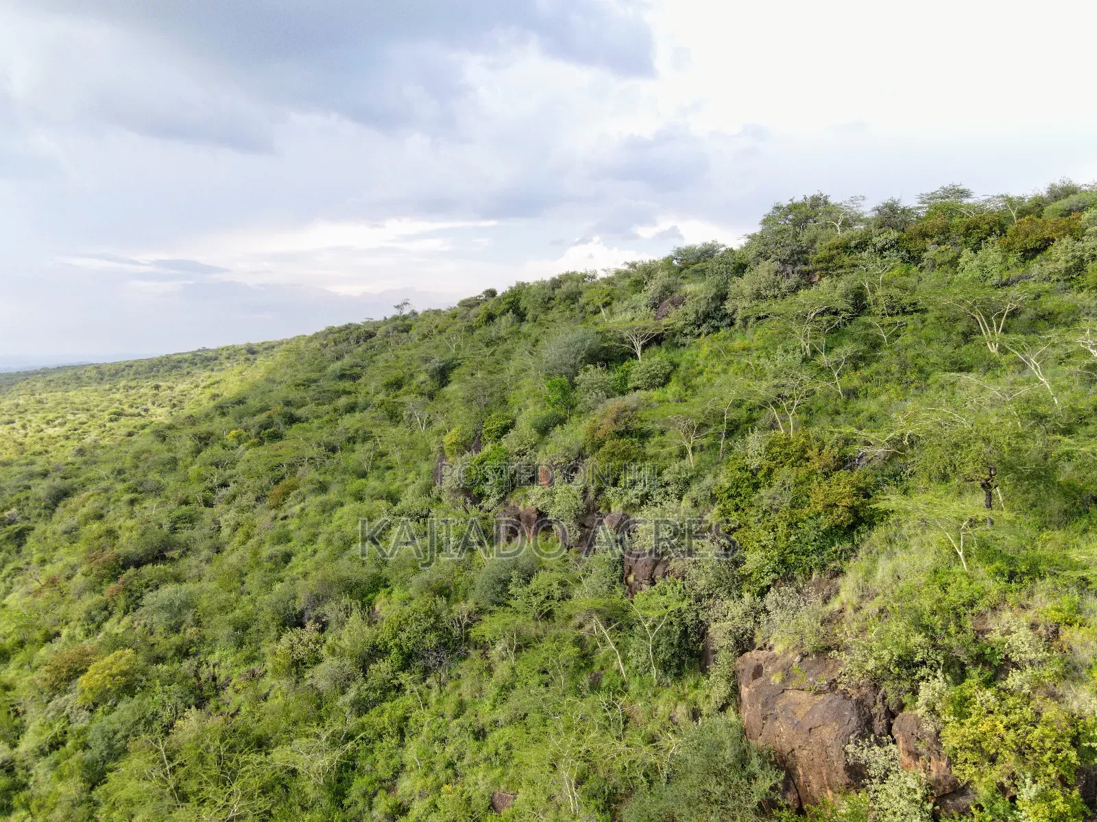107 Acres Olmeroi ,Saikeri