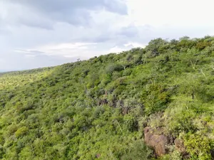 107 Acres Olmeroi ,Saikeri