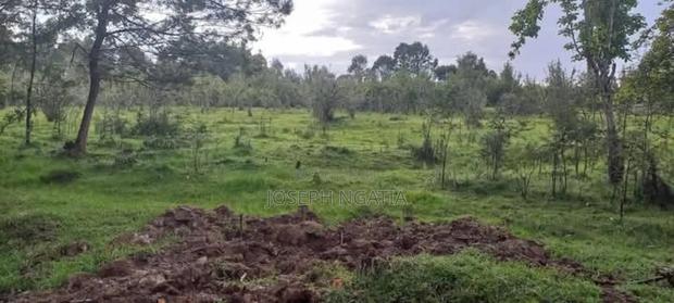 4 Acres on Quick Sale
