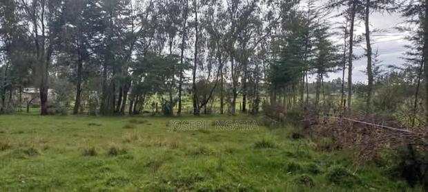 4 Acres on Quick Sale - thumbnail 2