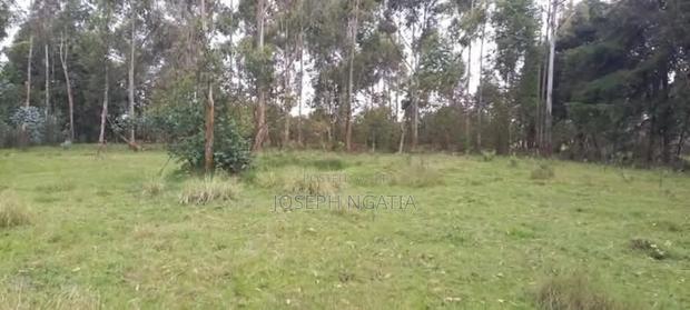 4 Acres on Quick Sale - thumbnail 3