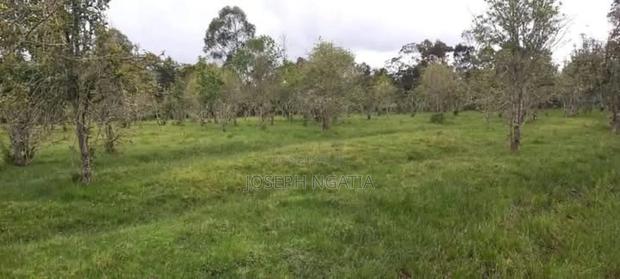4 Acres on Quick Sale - thumbnail 4
