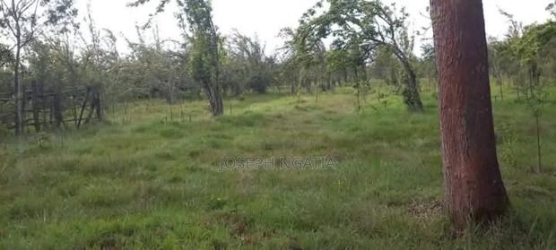 4 Acres on Quick Sale - thumbnail 5