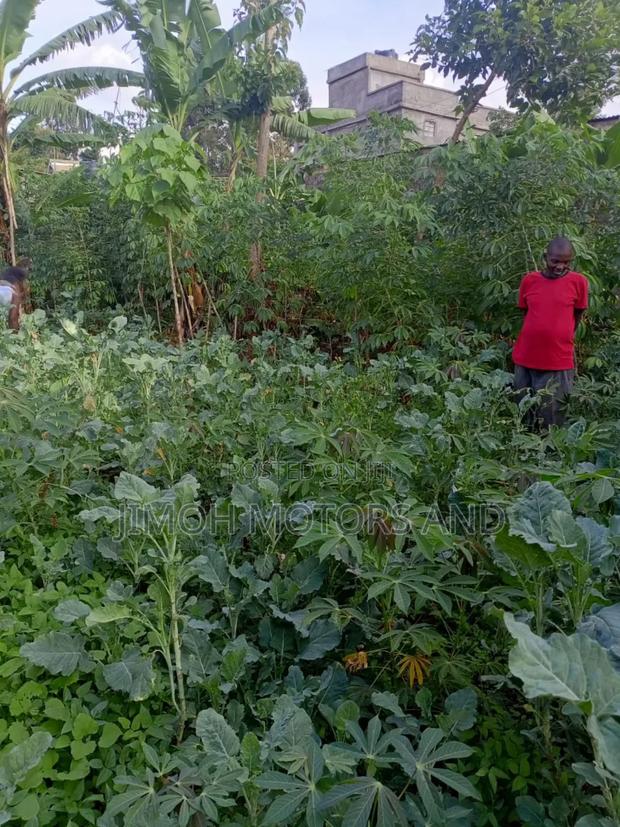 Land on Sale - thumbnail 4