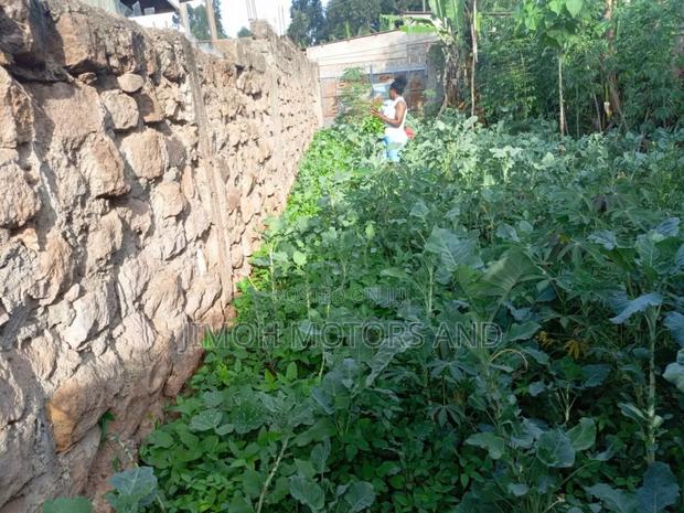 Land on Sale - thumbnail 5