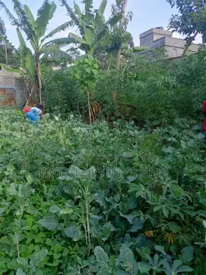 Land on Sale