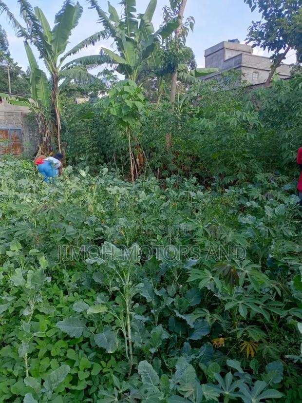 Land on Sale - thumbnail 6