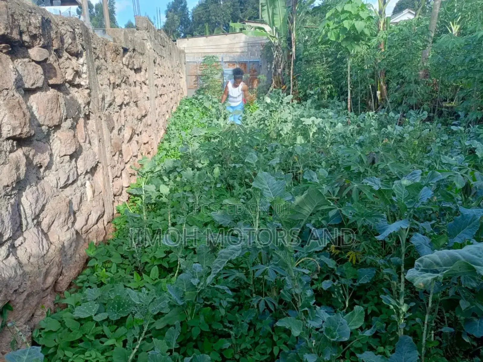 Land on Sale