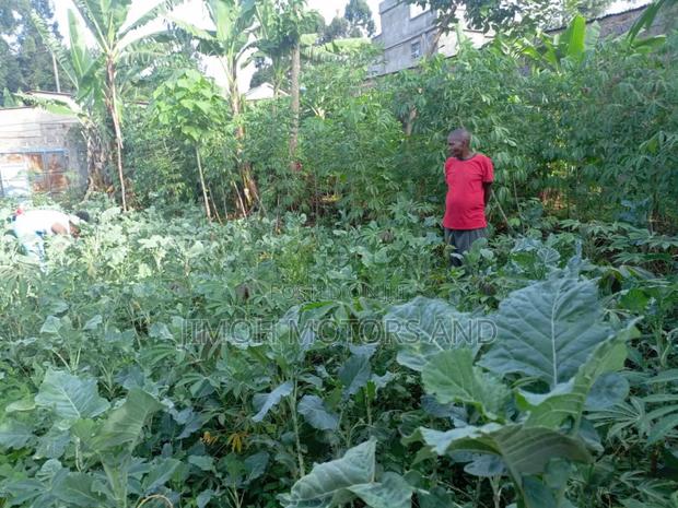 Land on Sale - thumbnail 8