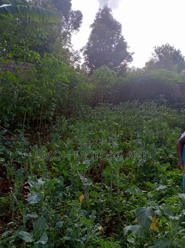 Land on Sale - thumbnail 9