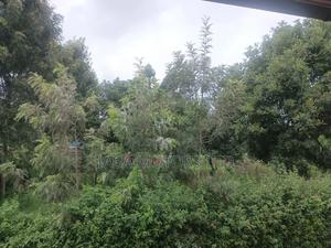 50/100 Land in Ruiru - thumbnail 2