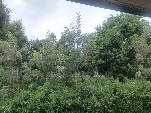 50/100 Land in Ruiru - thumbnail 3