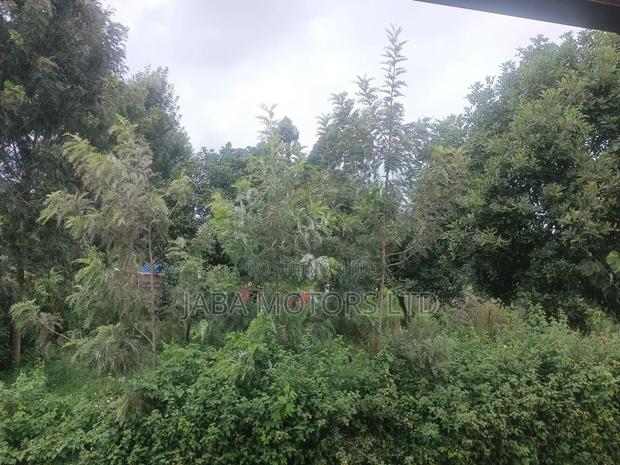 50/100 Land in Ruiru - thumbnail 4