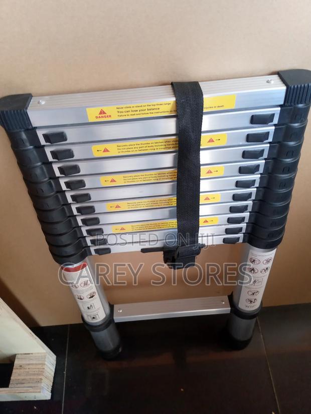 10 Step Telescopic Ladder - main view