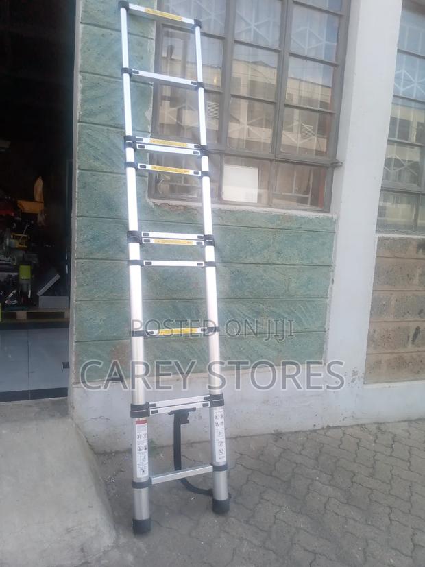 10 Step Telescopic Ladder - thumbnail 3