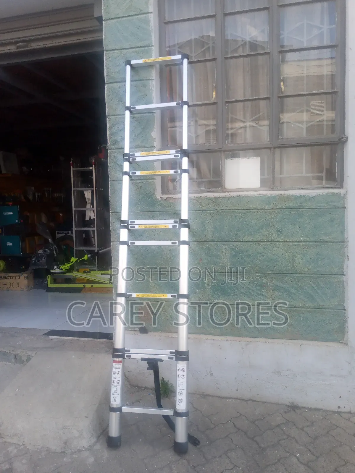 10 Step Telescopic Ladder