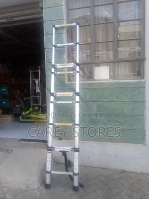 10 Step Telescopic Ladder