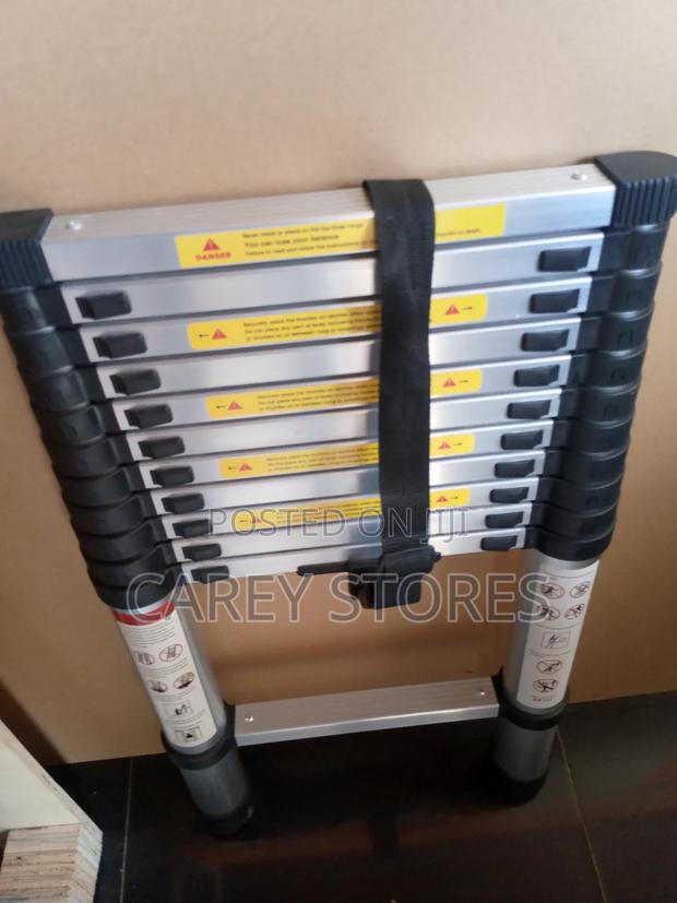 Single Telescopic Ladder - main view