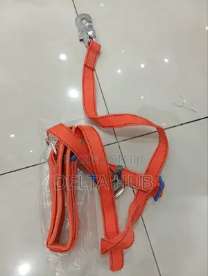 Pole Waist Safety Belt