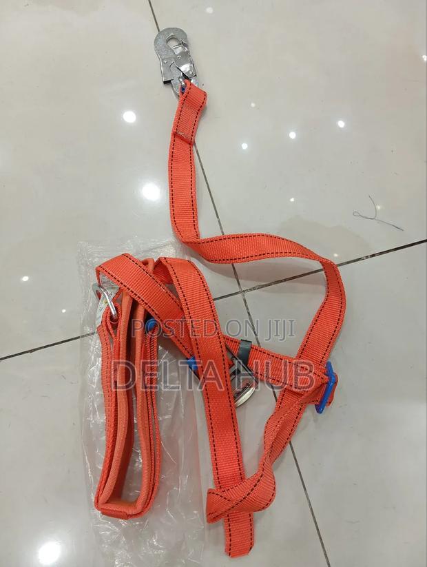 Pole Waist Safety Belt
