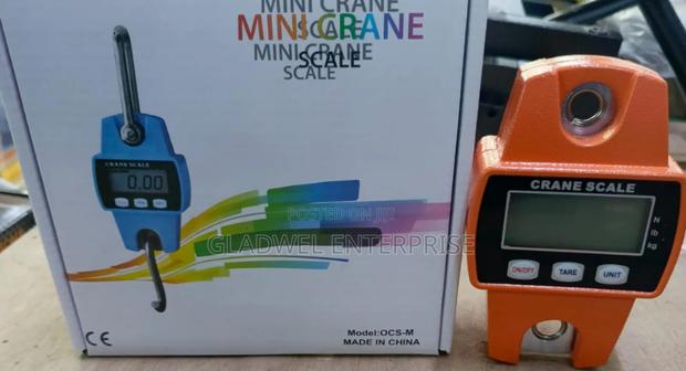 300kg Digital Mini Crane /Hanging Scale - main view