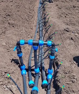 Drill Borehole Today