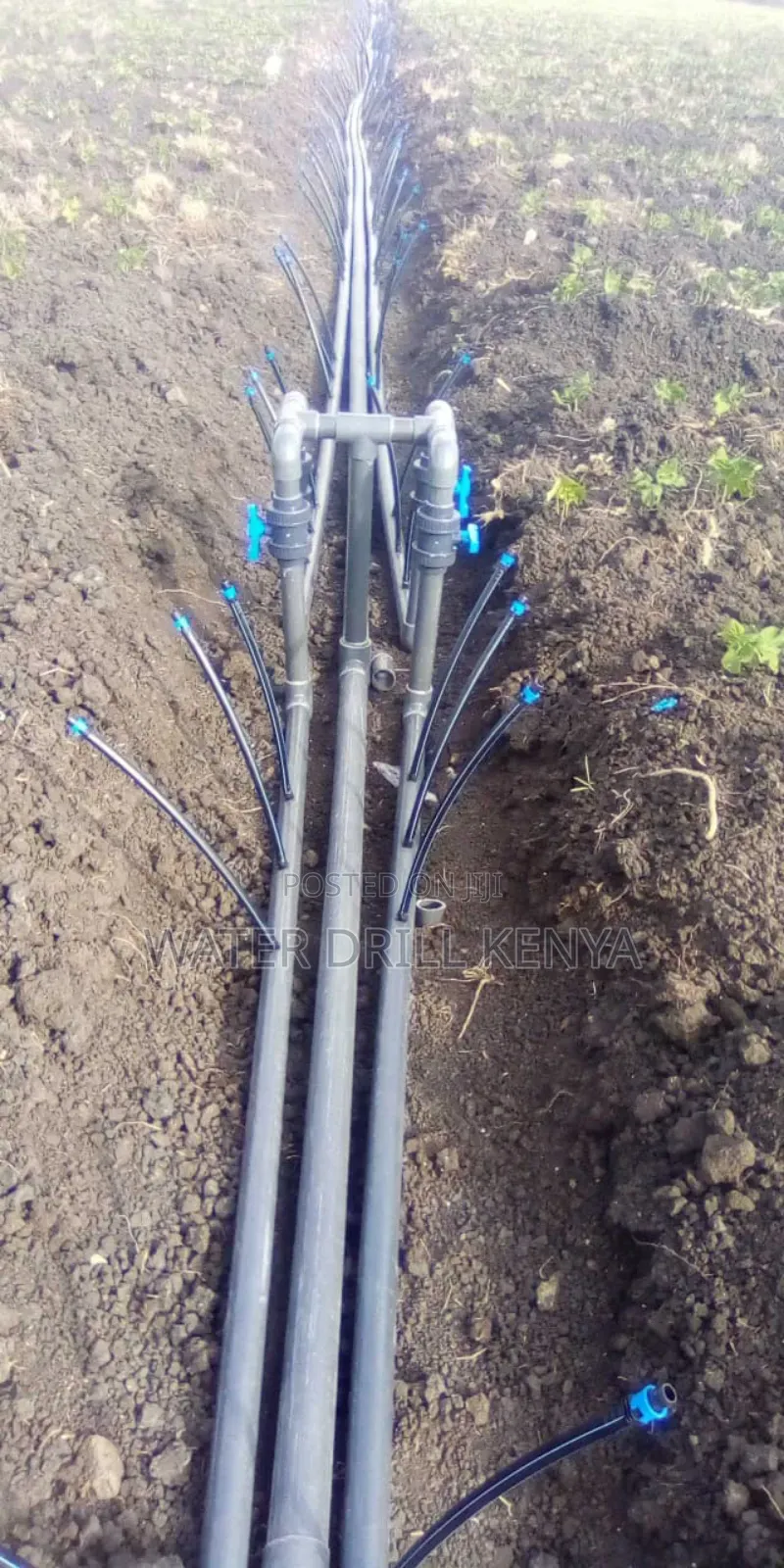 Drill Borehole Today
