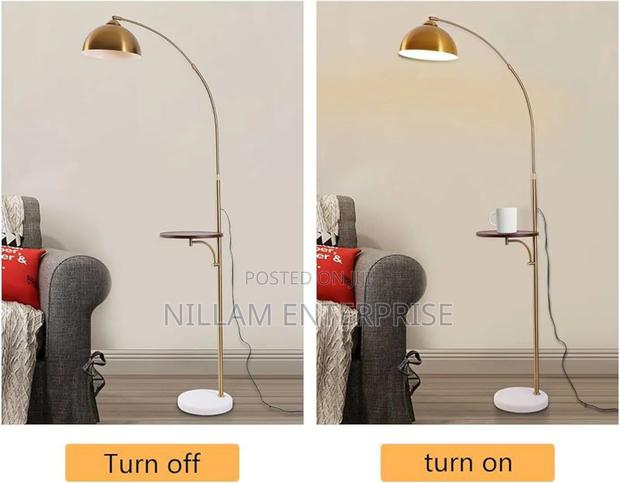 Adjustable Arc Floor Lamp* - main view