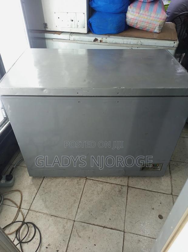 Realiable Deep Freezer Fridge Silver