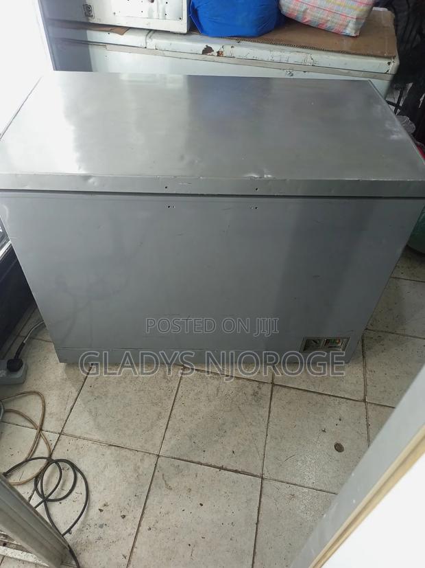 Realiable Deep Freezer Fridge Silver - thumbnail 2