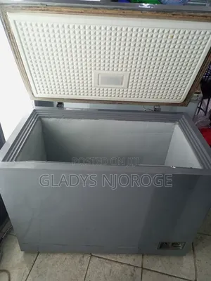 Realiable Deep Freezer Fridge Silver