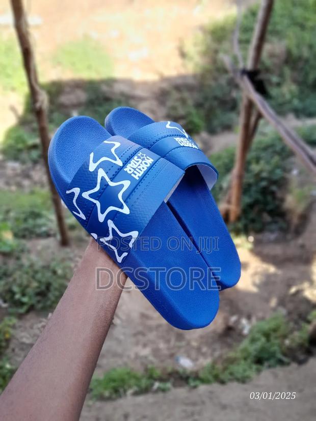 North Star Slides - thumbnail 7